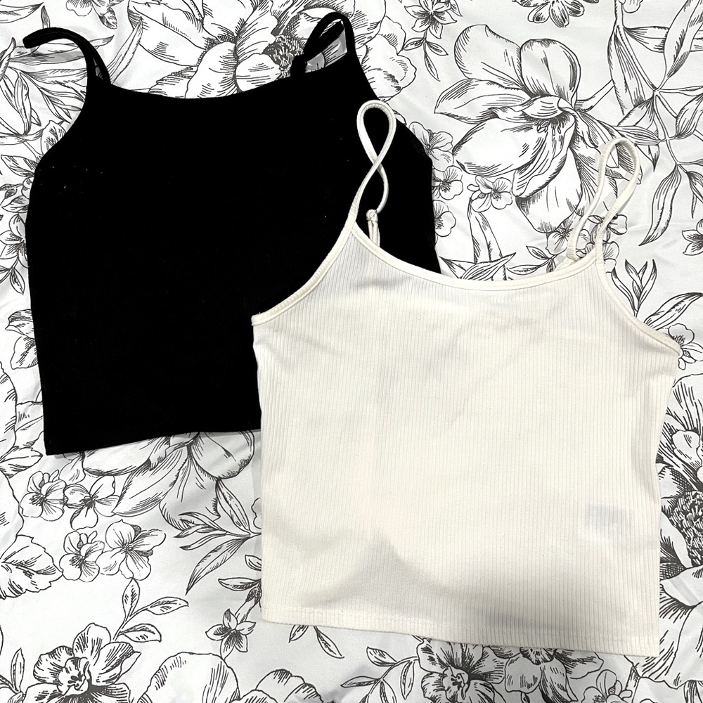 Lot of 2 American Eagle 🦅 cropped tanks (M)